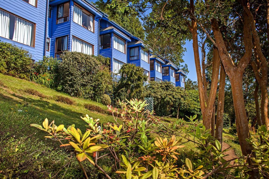 Hotel Elun, La Mejor Vista فروتيلار المظهر الخارجي الصورة